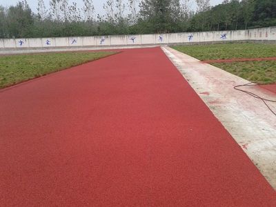 【【中山自結紋塑膠跑道】,標準塑膠跑道廠家,自結紋混合型塑膠跑道,廣州帝森】價格_廠家 - 中國供應商